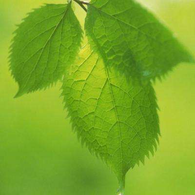 ng体育下载注册