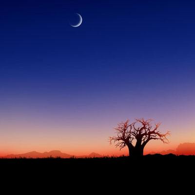 必赢亚洲手机app下载