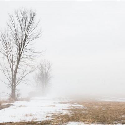 幸运彩票最新版app